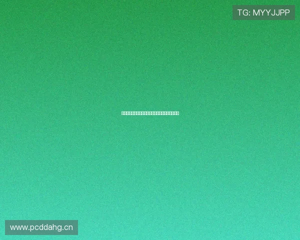 新天下集团董事长引领企业创新转型与未来发展战略 新天下集团董事长引领企业创新转型与未来发展战略